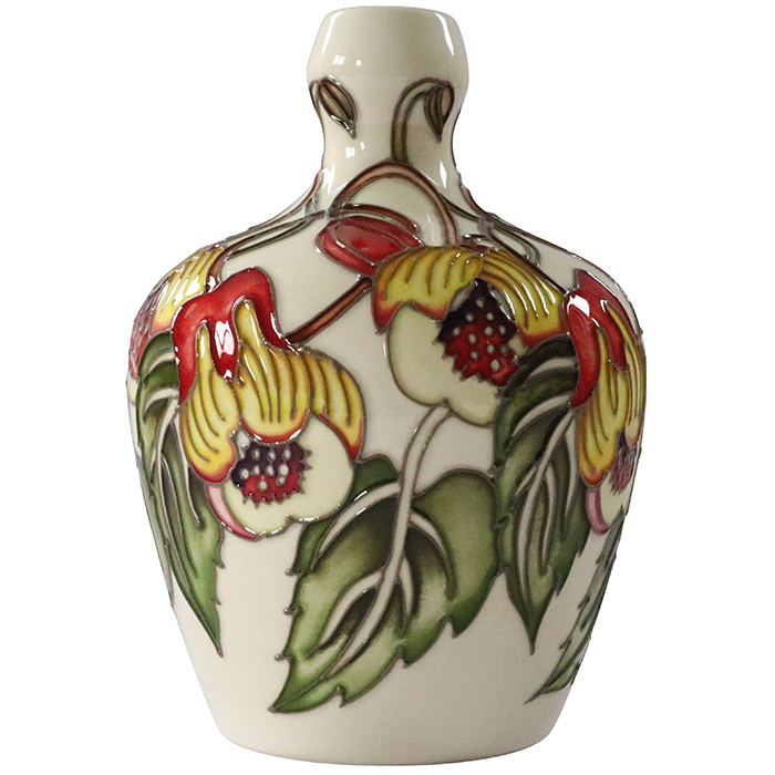 Abutilon - Vase + Watercolour